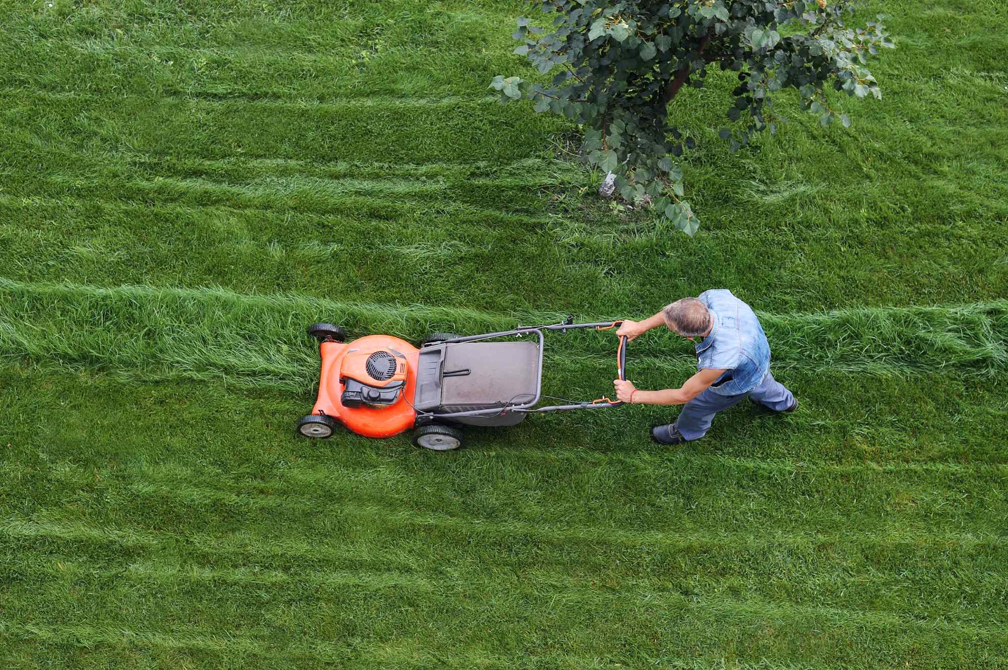 Lawn Mowing