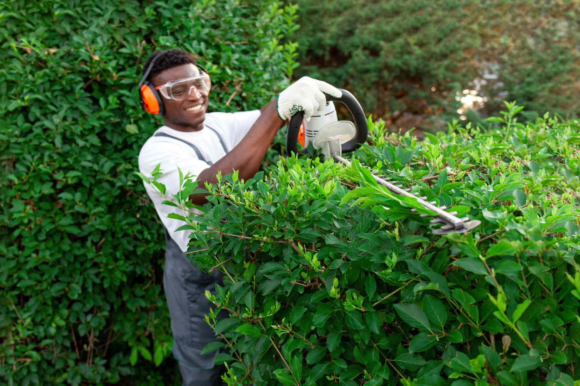 Trimming