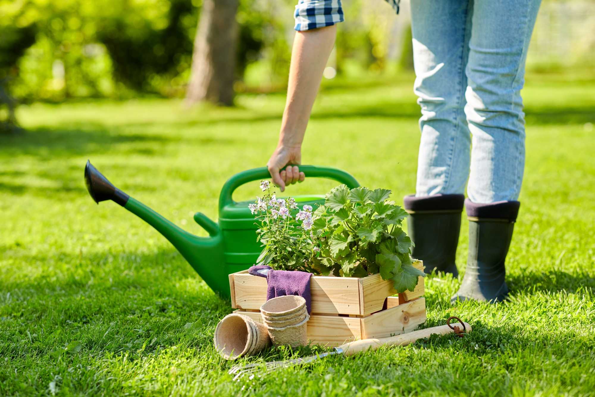 General Garden Maintenance