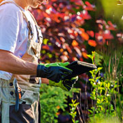 Garden Consultation