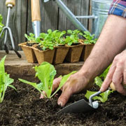 Garden Execution