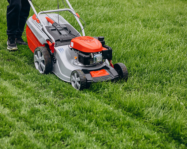 Melbourne Lawn mowing