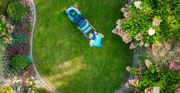 Soft Landscaping Service in Melbourne
