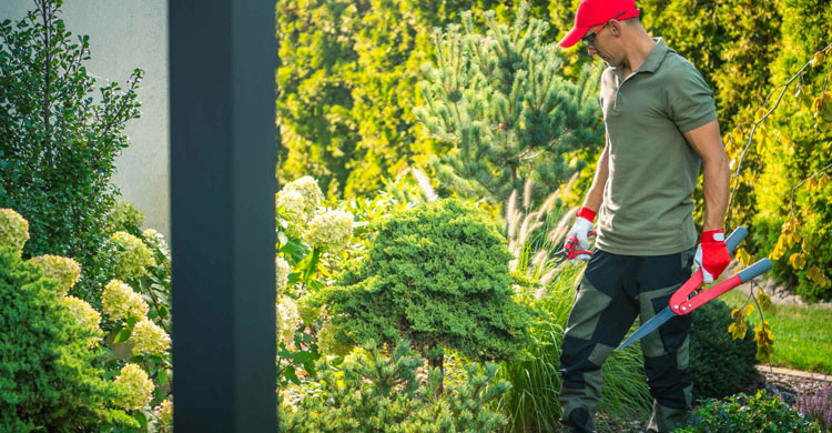 Soft Landscaping Service - Moonering Gardens