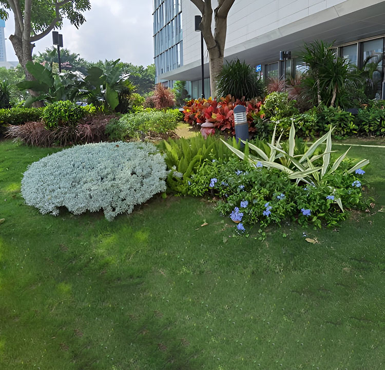 Gardening for Body Corporate Properties