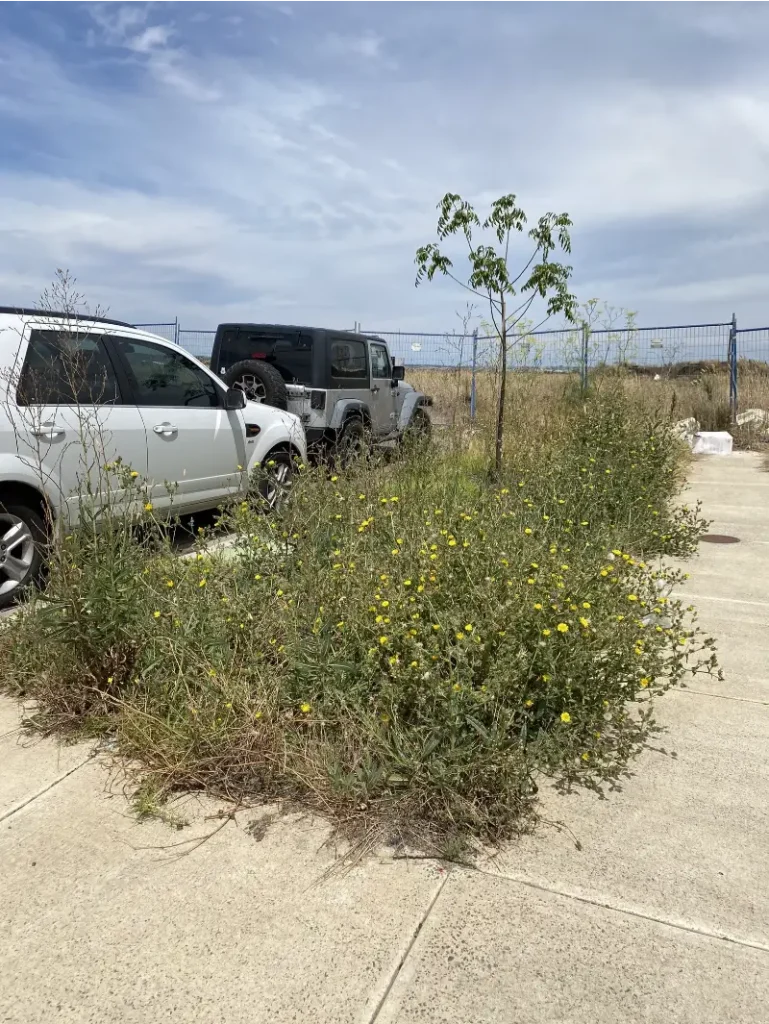 weed removal