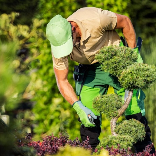 gardening support