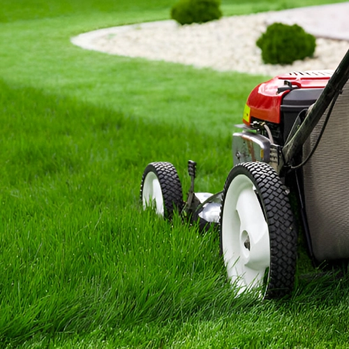 grass cutting