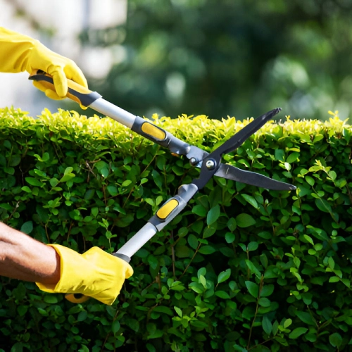 hedge trimming services