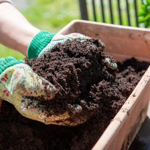 Mulch Installation