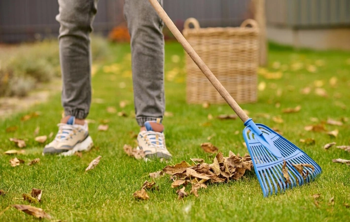 garden rubbish removal in Coburg
