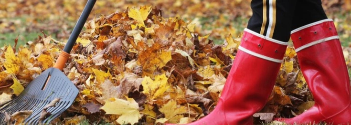garden rubbish removal in Campbellfield
