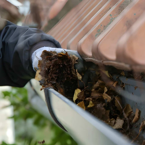 Roof Gutter Cleaning