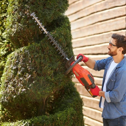 Tree Trimming
